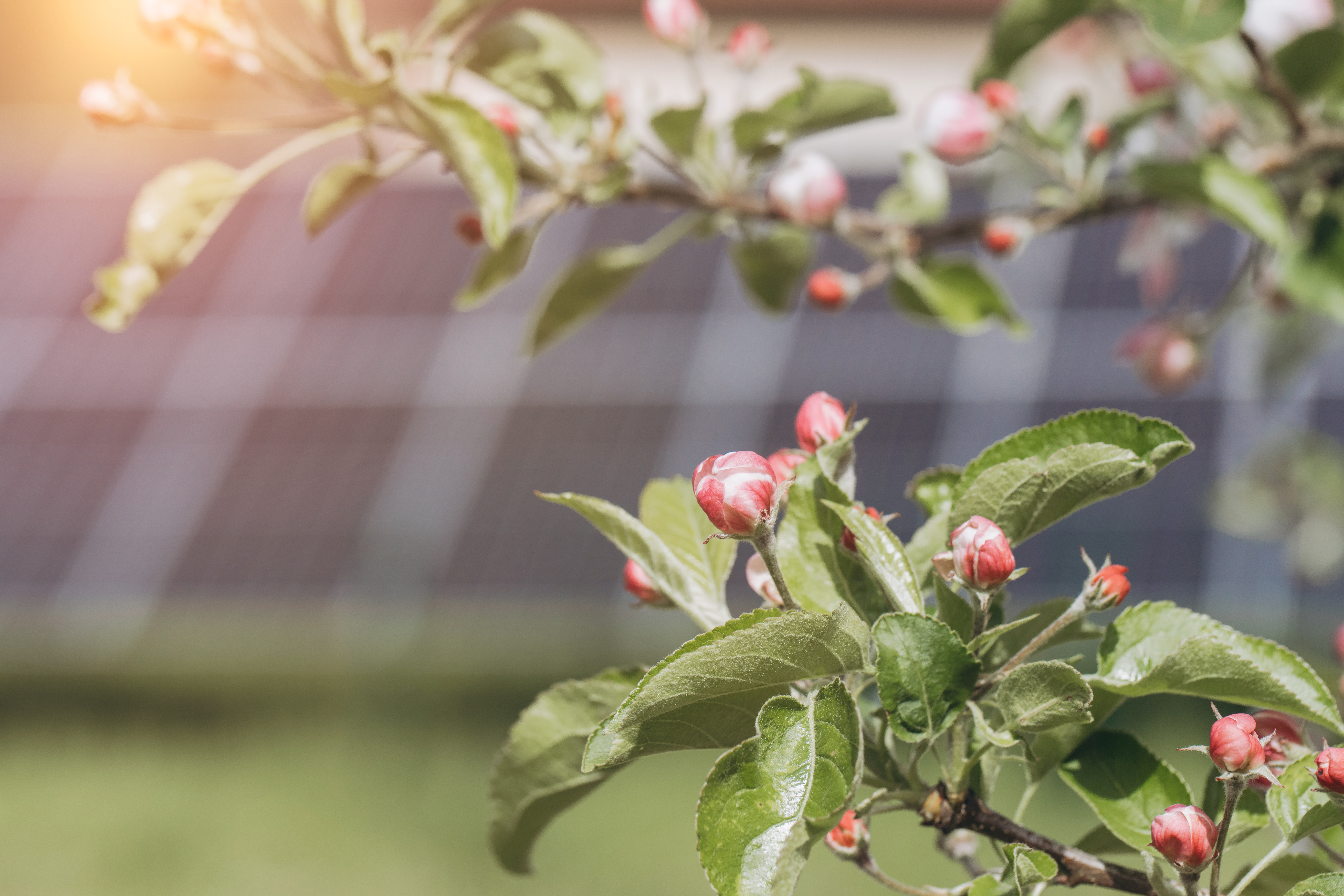 Modo isla en paneles solares: ten luz incluso en un apagón