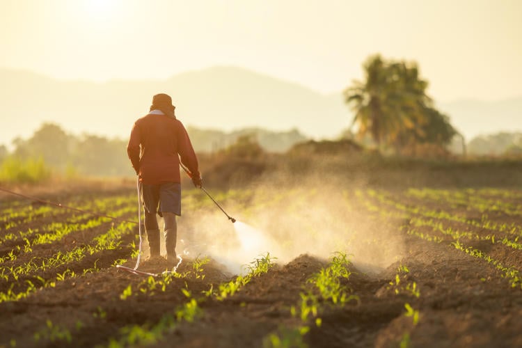 Cómo reducir la contaminación en el sector agropecuario Cómo reducir la contaminación en el sector agropecuario