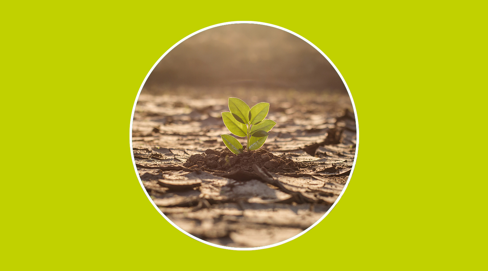 Proyectos colaborativos internacionales en la lucha contra el cambio climático.