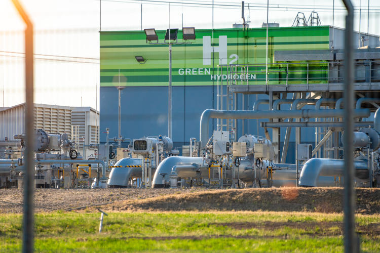 Startups en España revolucionan energía verde en 2025 Startups en España revolucionan energía verde en 2025