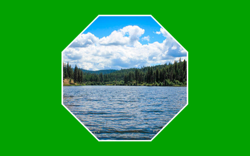 Imagen de un lago rodeado de pinos