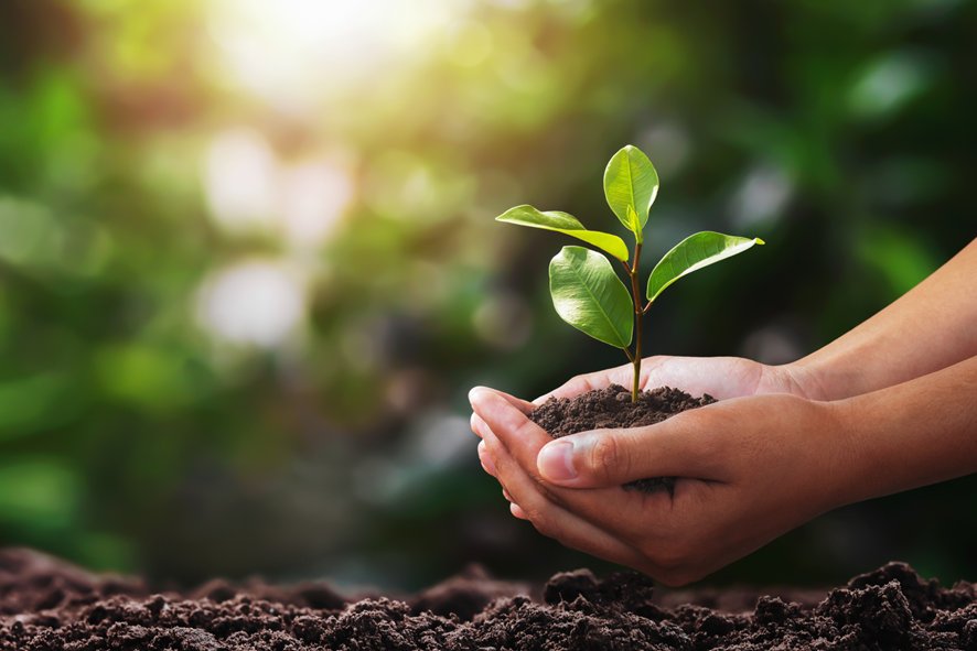 Bioplásticos: qué son y beneficios para la agricultura