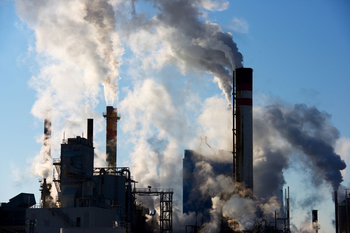 consecuencia de los principales tipos de contaminacion