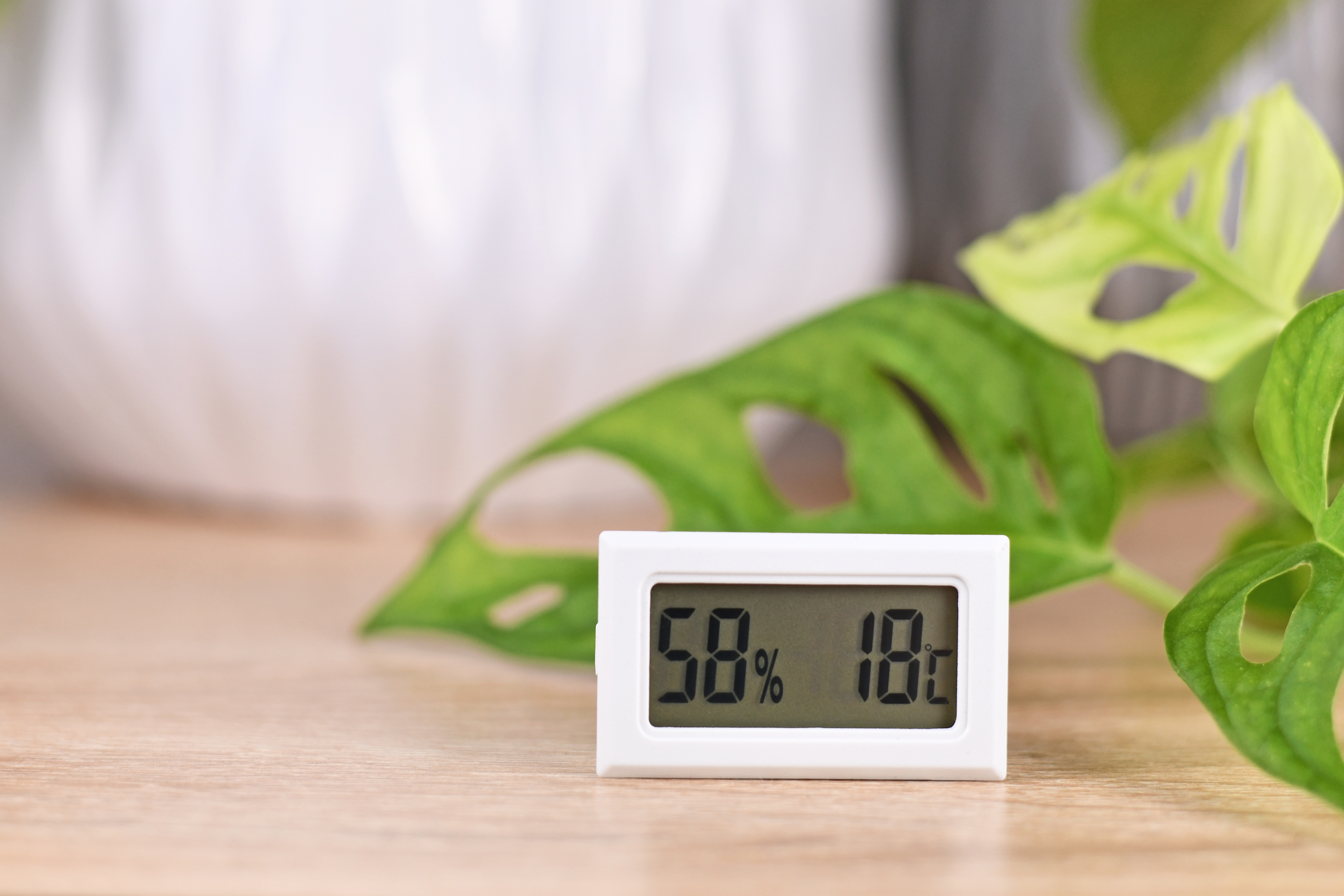 Deshumidificador en otoño e invierno: cuándo compensa frente a ventilar