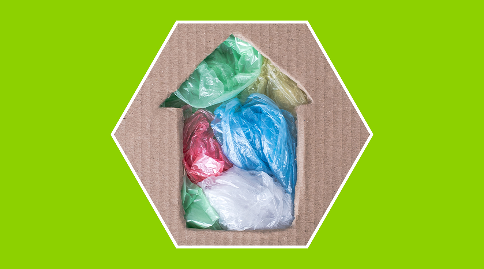 Bolsas de plástico, alternativas y su impacto en el medio ambiente