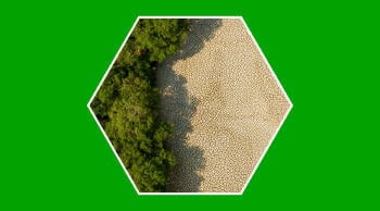 Desierto-cambio-climático