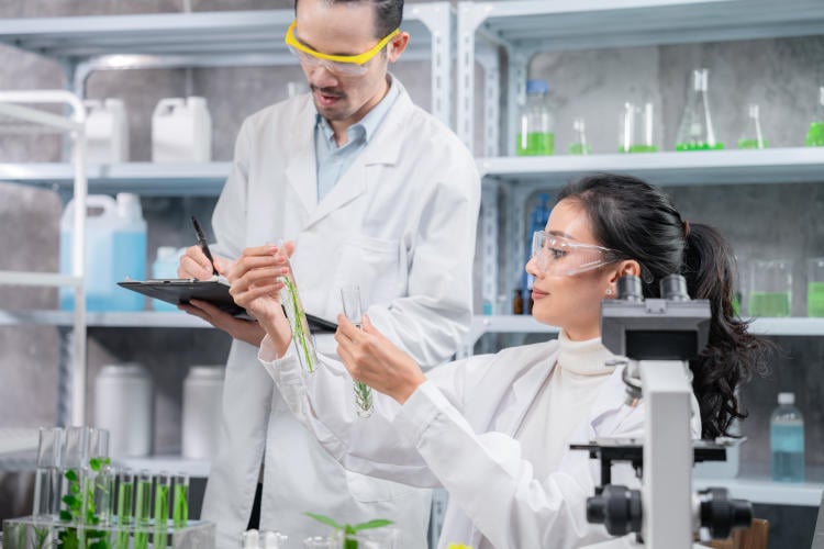 Qué es la biotecnología y cómo ayuda a cuidar el medioambiente Qué es la biotecnología y cómo ayuda a cuidar el medioambiente