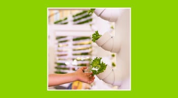 El impacto de la agricultura vertical en el consumo energético.
