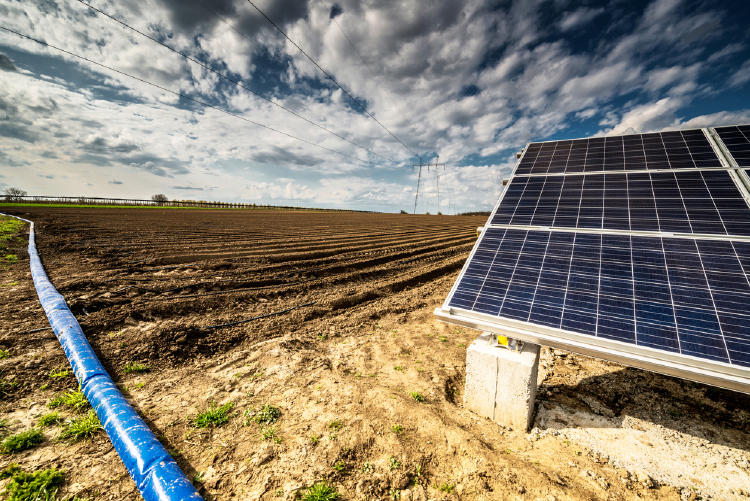 iStock 518205752 iStock 518205752